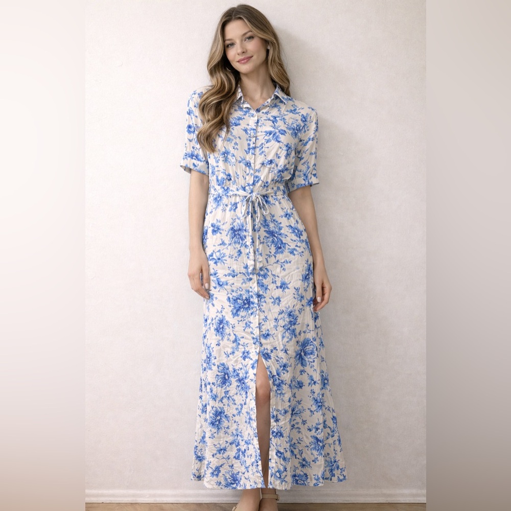 H&M Cream and Blue Floral Button-Front Maxi Dress